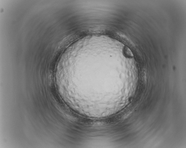 X0000073930741200609082302