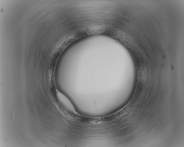 X0000073930742200609082302