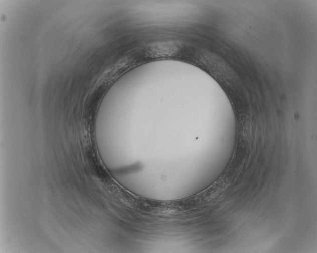 X0000073930743200609082302