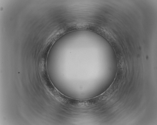 X0000073930744200609082302