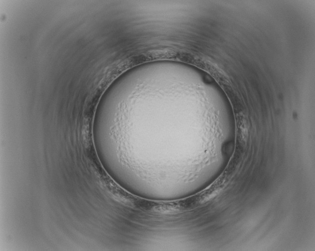 X0000073930745200609082302