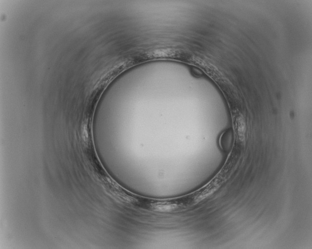 X0000073930746200609082302