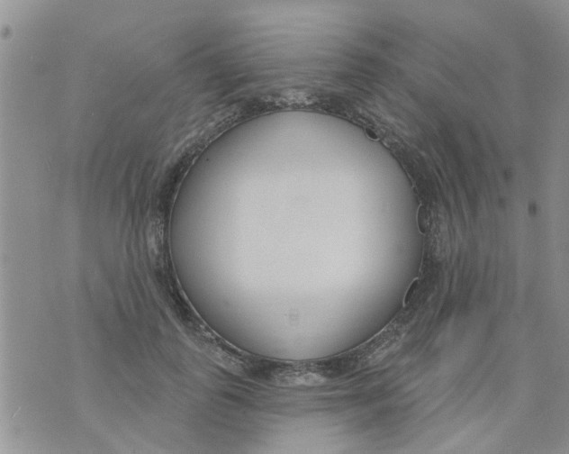 X0000073930747200609082302