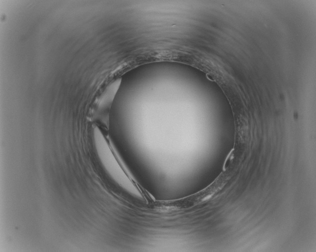 X0000073930748200609082302