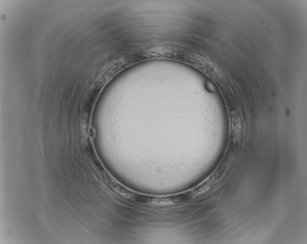 X0000073930749200609082302