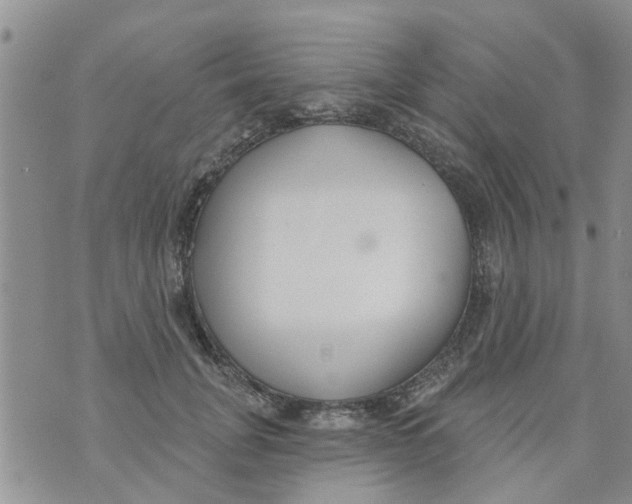 X0000073930751200609082302