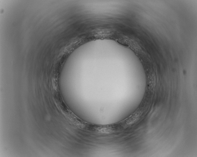 X0000073930755200609082302