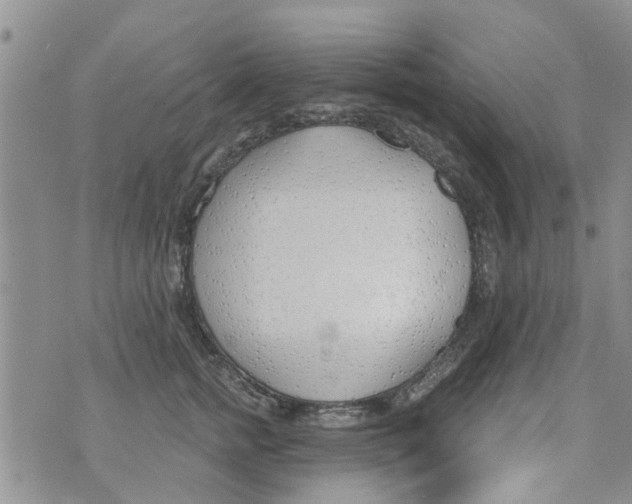 X0000073930758200609082303