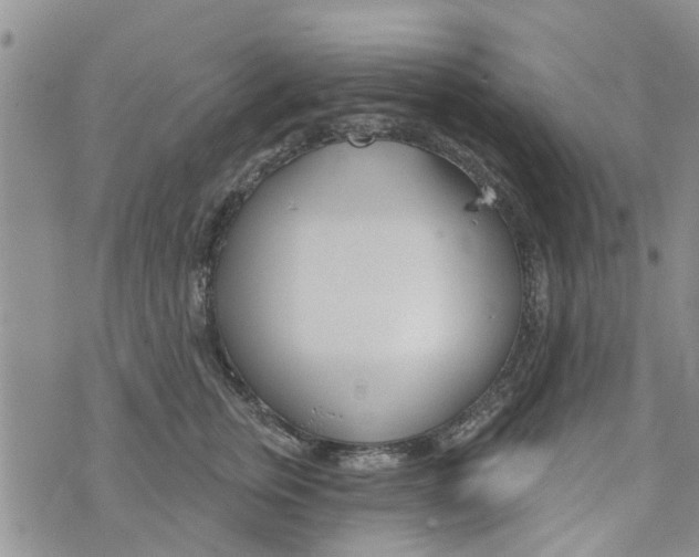 X0000073930759200609082303