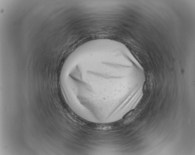 X0000073930760200609082303