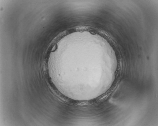 X0000073930761200609082303