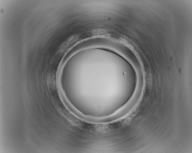 X0000073930762200609082303