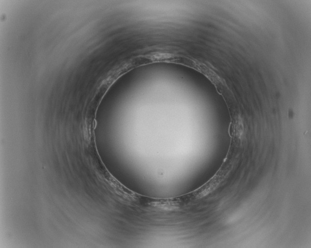 X0000073930763200609082303