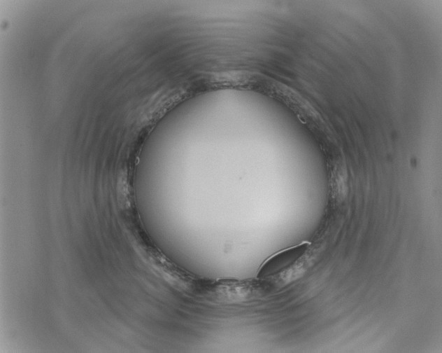 X0000073930764200609082303