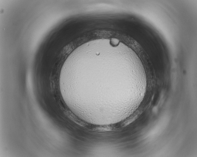 X0000073930765200609082303