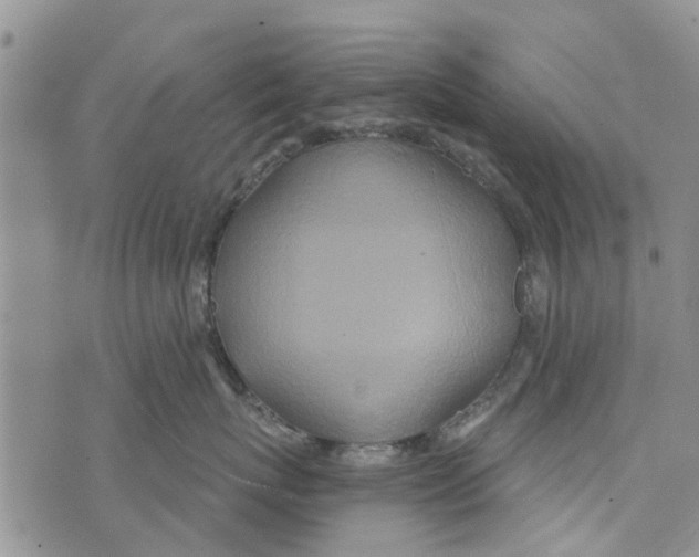 X0000073930767200609082303