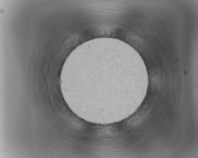 X0000073930769200609082302