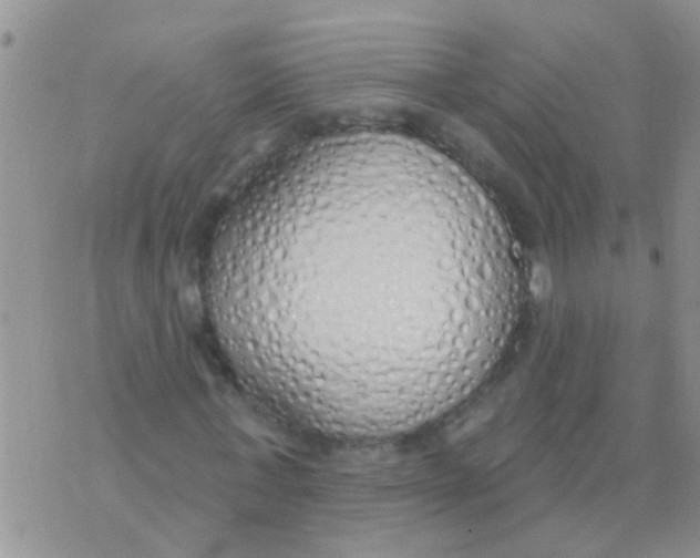 X0000073930771200609082302