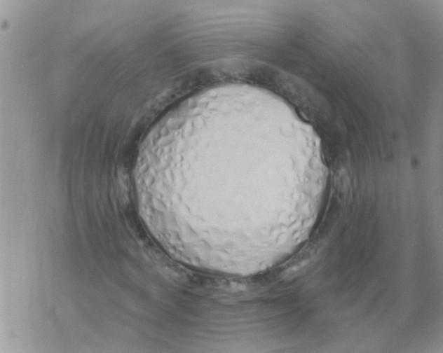 X0000073930772200609082302