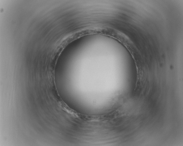 X0000073930773200609082302