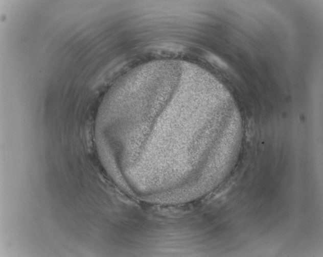 X0000073930774200609082302