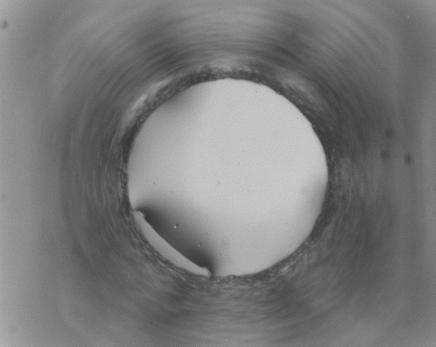 X0000073930776200609082302