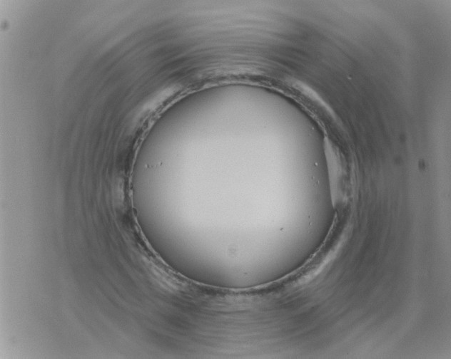 X0000073930777200609082302