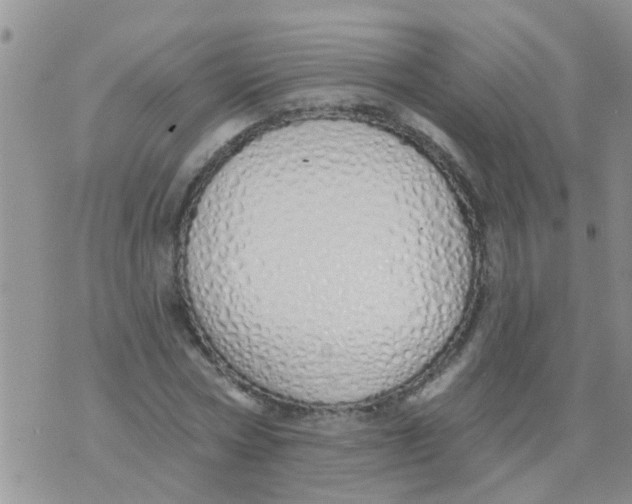 X0000073930778200609082302