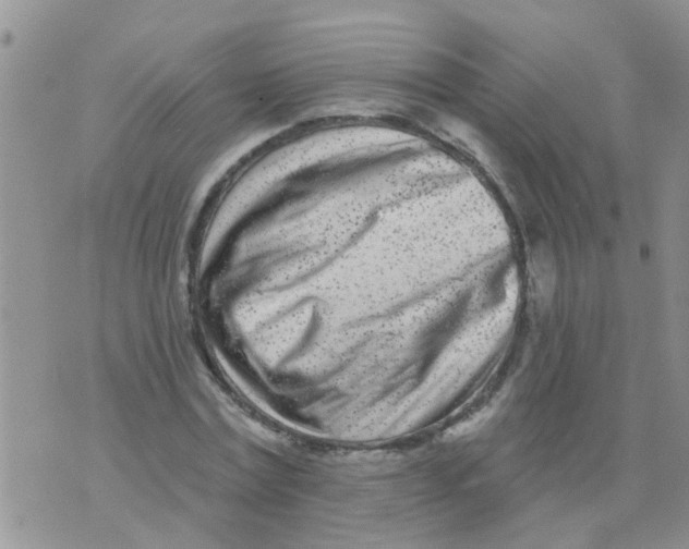 X0000073930779200609082302