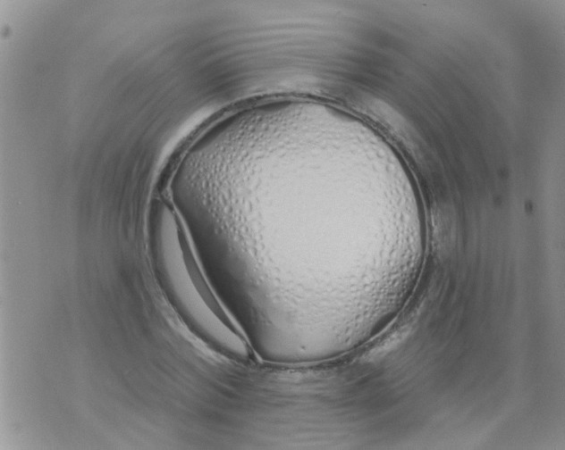 X0000073930780200609082302