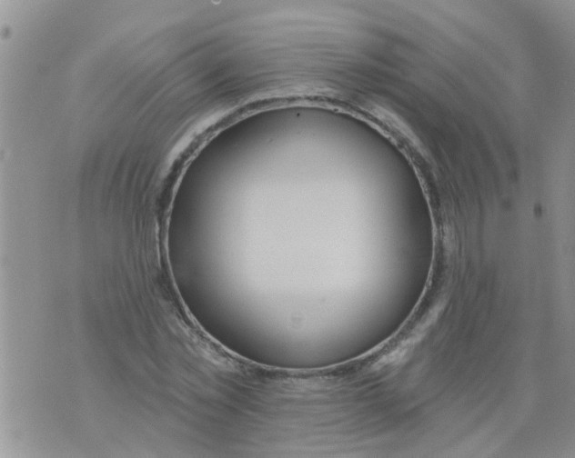 X0000073930781200609082302