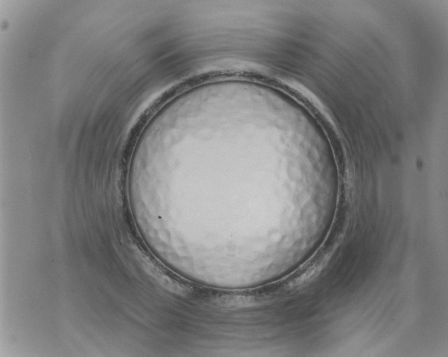 X0000073930783200609082302