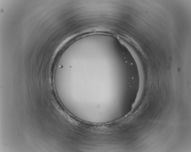 X0000073930784200609082302