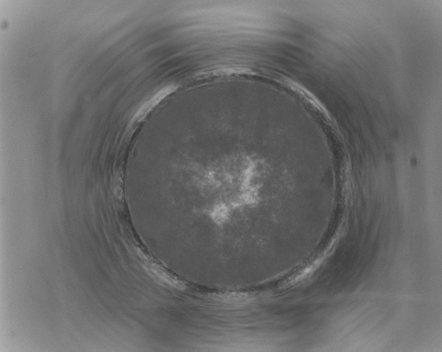 X0000073930785200609082302