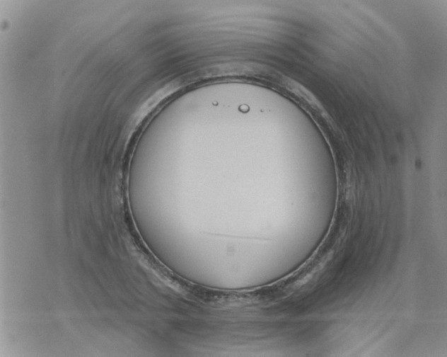 X0000073930786200609082302