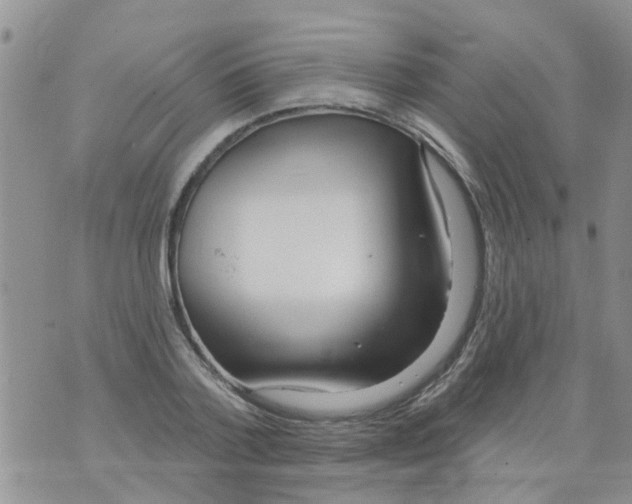 X0000073930788200609082302