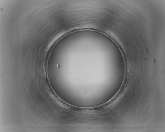 X0000073930789200609082302