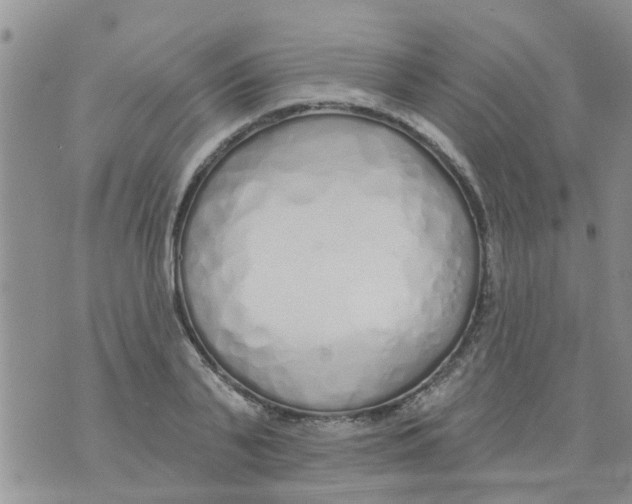 X0000073930791200609082302