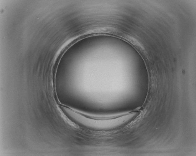 X0000073930792200609082302