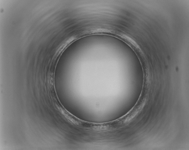 X0000073930793200609082302