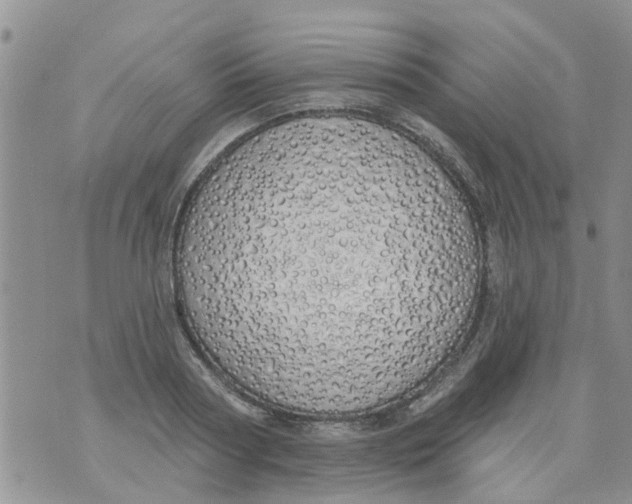 X0000073930794200609082302