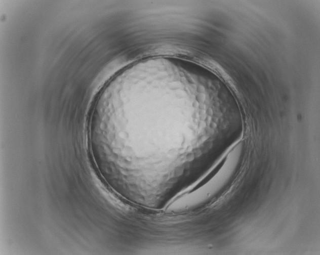 X0000073930795200609082302