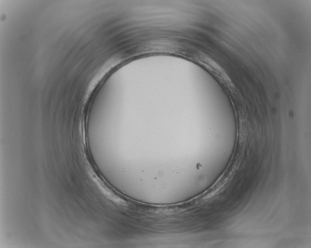 X0000073930796200609082301