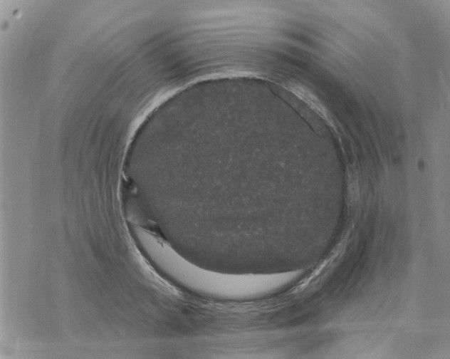 X0000073930797200609082301