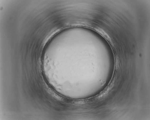 X0000073930798200609082301