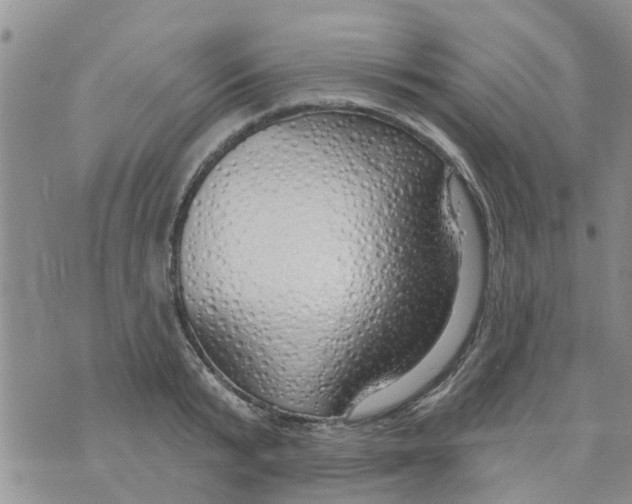 X0000073930799200609082301