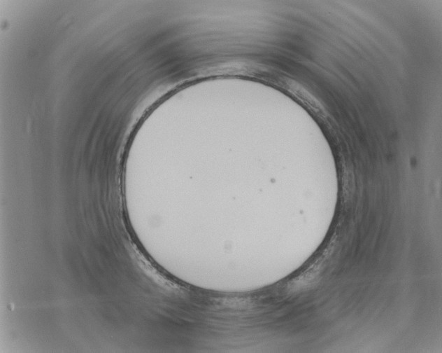 X0000073930800200609082301