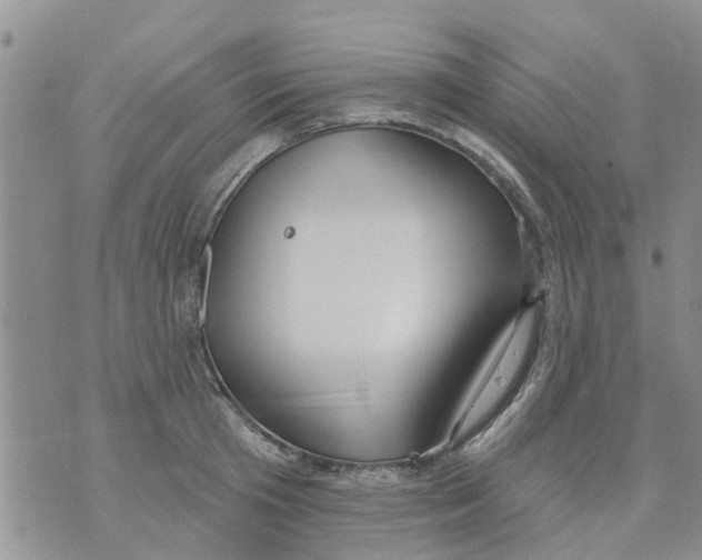 X0000073930801200609082301