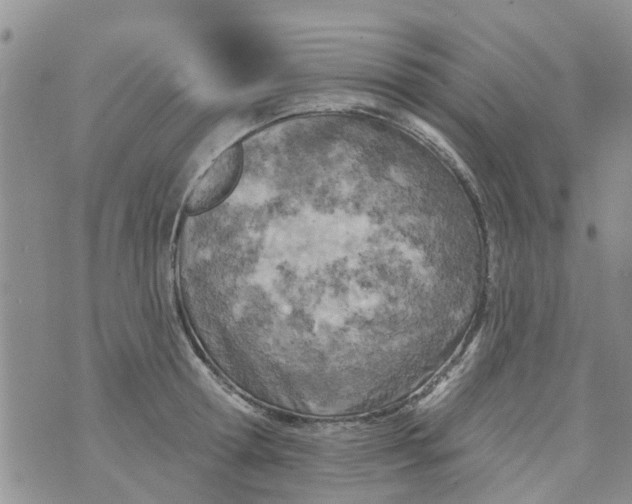 X0000073930802200609082301