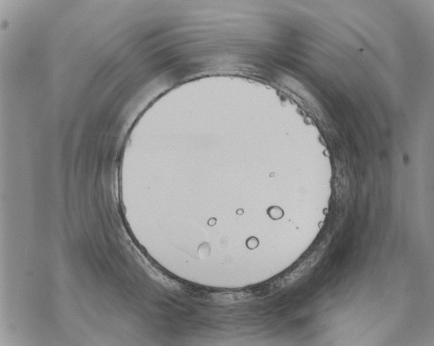 X0000073930804200609082301